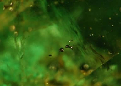 Pyrite inclusions