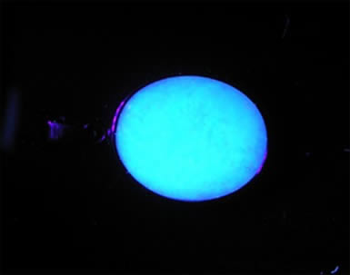 Fluorescent front