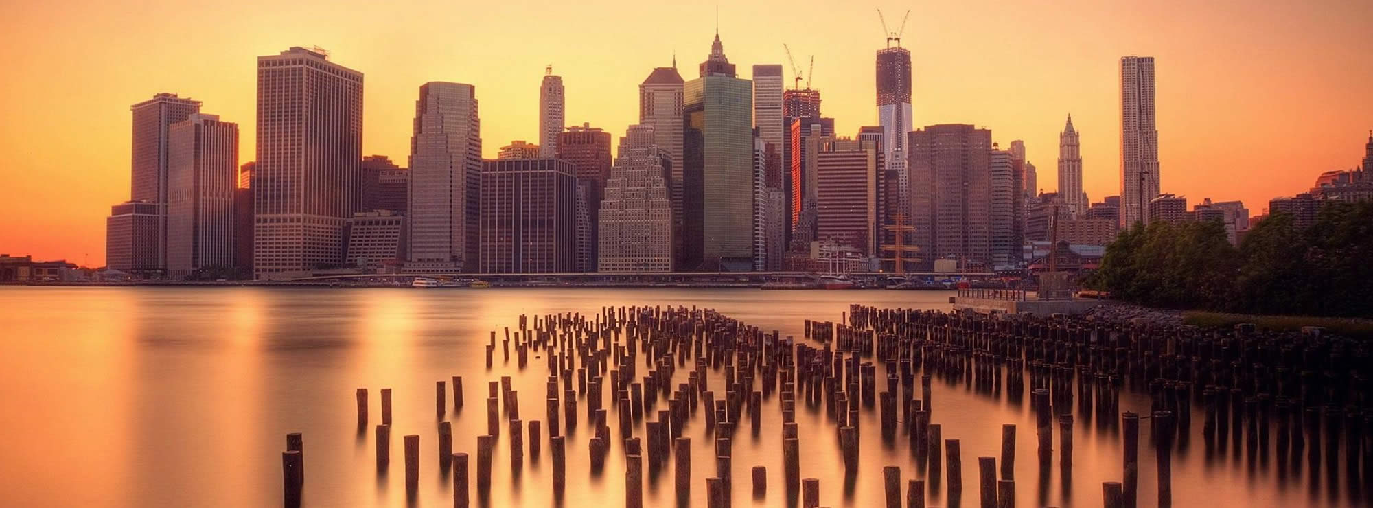 New York head image